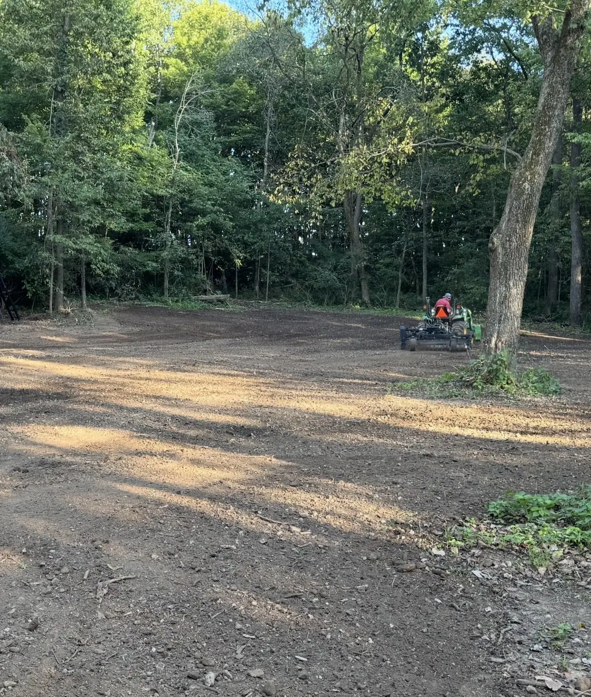 Cleared and graded area beside mature trees near Dayton, OH