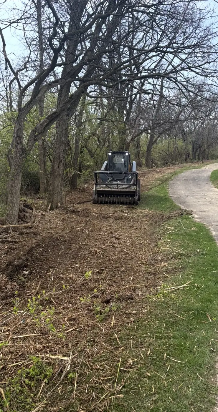 Skid steer finishing a trail through timber near Dayton, OH